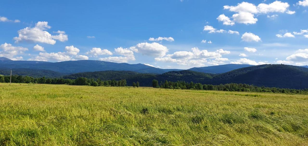 Apartament Wita Stwosza Jelenia Góra Εξωτερικό φωτογραφία