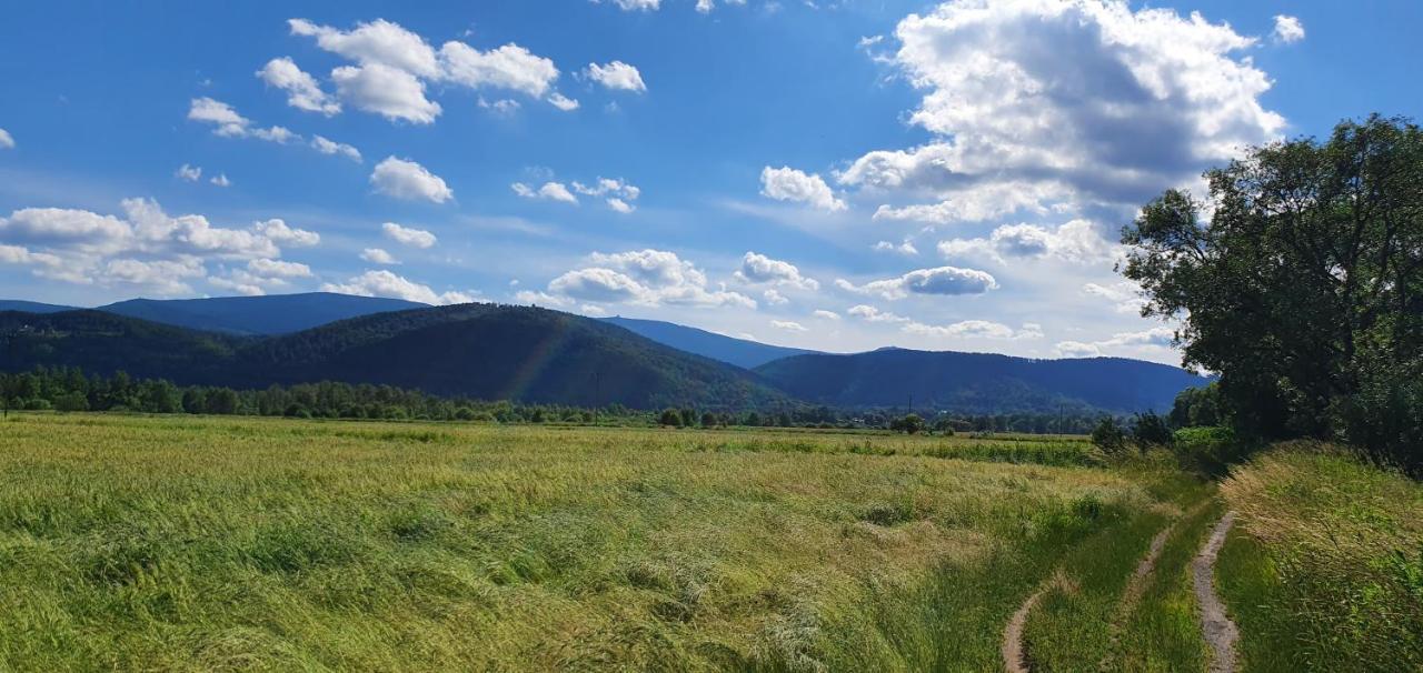 Apartament Wita Stwosza Jelenia Góra Εξωτερικό φωτογραφία